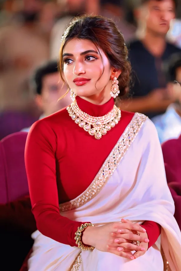 Sreeleela Ustaad Bhagat Singh Pre Release Event Photos