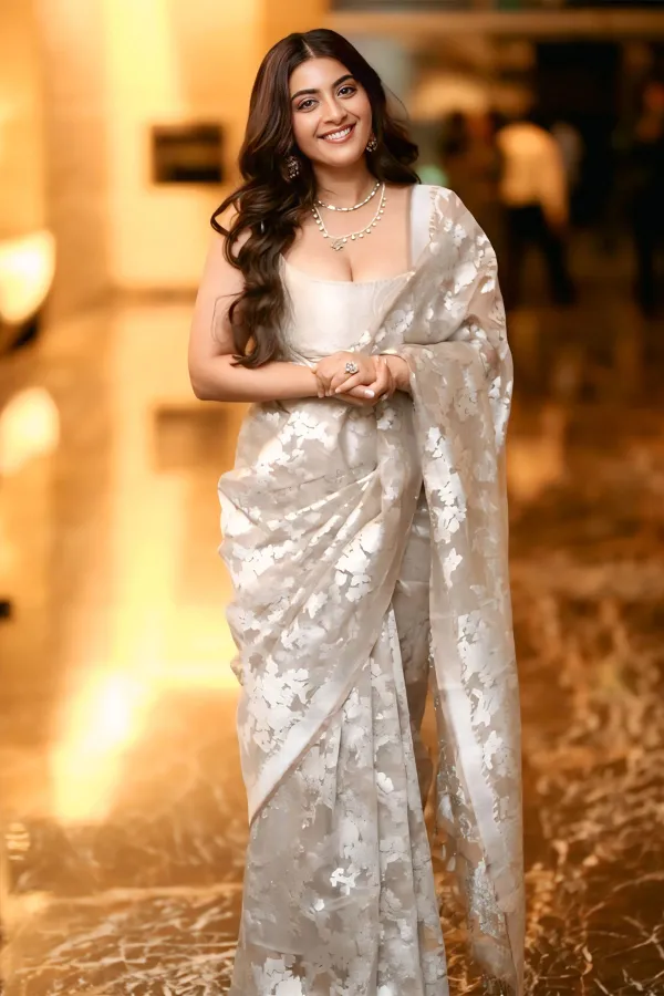 Must-See: Zayn Marie Khan in Sizzling Silver Saree Fashion